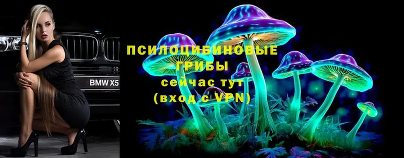 Псилоцибиновые грибы Psilocybe  Татарск 